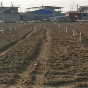 南阳市宛城区林长办：植树造林正当时