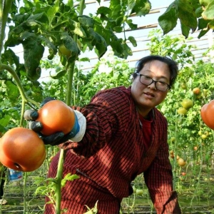 建好“菜园子” 保障“菜篮子”