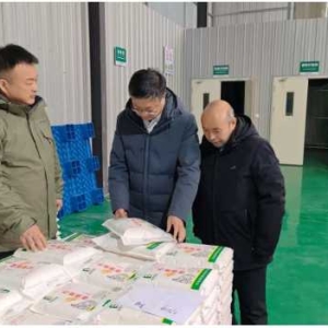 石磨转香承古韵 匠心赋能乡村兴 乡村振兴科技网一行考察河南碧野面粉科创转型实践成果