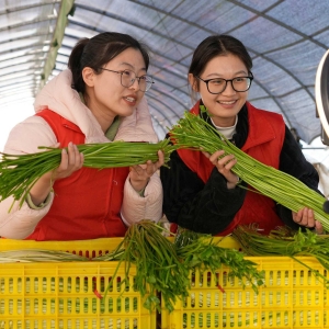 “村播”带货  助农增收