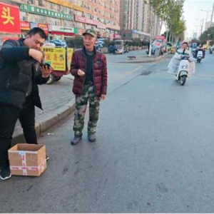 南阳市宛城区林业局：接力救助受伤斑鸠 专业救护守护城市“飞羽精灵”