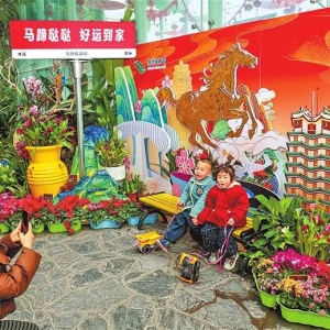 郑州植物园迎春花展