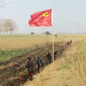 郏县长桥镇坡赵村组织开展“党群连心 沟渠连通”主题党日活动