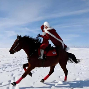 策马网红振兴路：从贺娇龙之逝看基层治理的流量革新与法治边界
