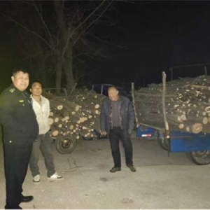 唐河县开展涉林违法行为专项打击行动