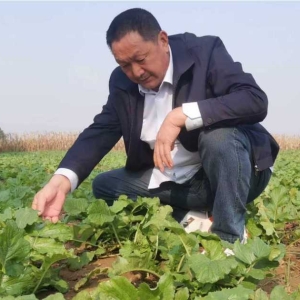 郭自强：郏县坡河萝卜，国家地理标志背后的匠心传奇