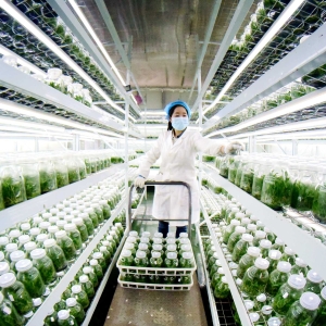 科技育苗备耕忙