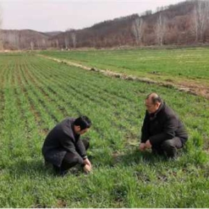 南召县白土岗镇：人勤春早备耕忙 田间地头启新章