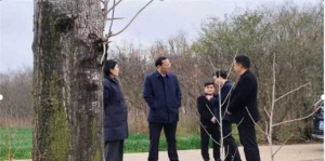 唐河县县级林长鲁成豪到东城街道开展巡林