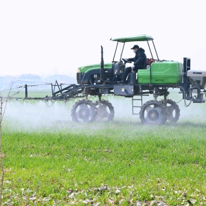 山东汶上：抢抓春季田管关键期