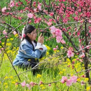 湖北屈家岭：“一朵桃花”成为激活乡村振兴“金钥匙”