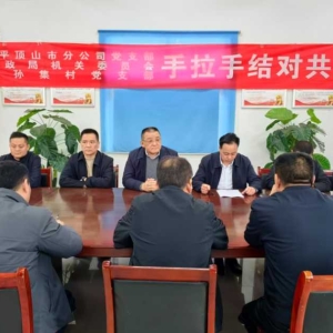 河南农担平顶山市分公司与郏县王集乡孙集村开展结对共建活动