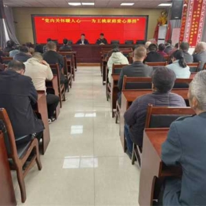 南阳市宛城区仲景街道陈棚社区：党建引领聚爱心 精准帮扶暖民心