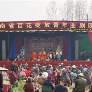 戏曲下乡润民心 文化惠民暖溧河——南阳市宛城区溧河街道开展“我们的节日・清明”主题活动