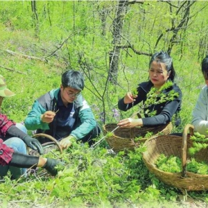 产业旺 乡村兴