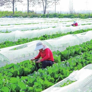 抓好春耕春管 夯实丰收基础