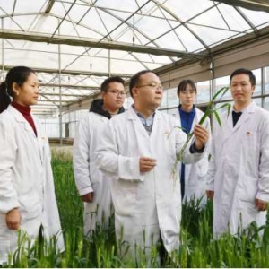 躬身麦田守粮仓 协同育人谱新篇