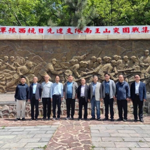 我网联合民进专家深入登封调研考察文旅高质量发展