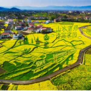 廊道串美景 业态兴乡村 ——陕西汉中市花海经济点燃乡村振兴“新引擎”
