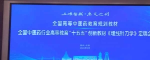 《线体对折旋转埋线技术操作规范》团体标准讨论会在重庆市召开