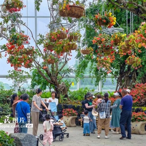 浙江宁波：奇花异草引客来