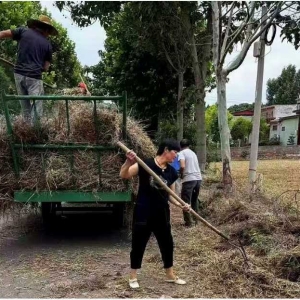 郏县长桥镇：清秸秆 除隐患 美环境