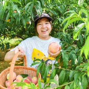 洛阳老城区：小桃果做成富民大产业