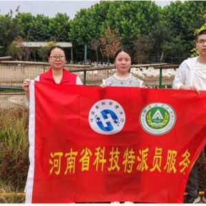 河南省科技特派员张宜娜博士赴通许开展夏季肉鹅专项技术服务