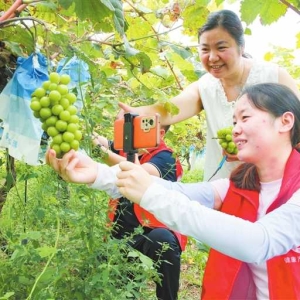 化身销售“主播” 助力农户增收