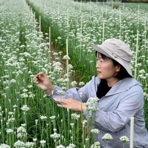 河南济源：蔬菜制种产业富民