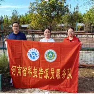 河南省科技特派员张宜娜赴通许开展肉鹅养殖技术服务